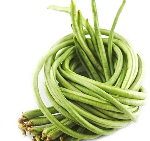 巧存长豆角 一招保鲜一年，风味不减，轻松便捷