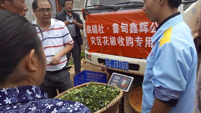 云南省供销合作社系统迅速响应，全力破解鲁甸地震灾区花椒销售与油料及农副产品收购难题