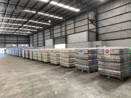 同心抗疫，共克时艰——阿根廷闽籍侨团及华人商会向当地政府捐赠民生食品物资